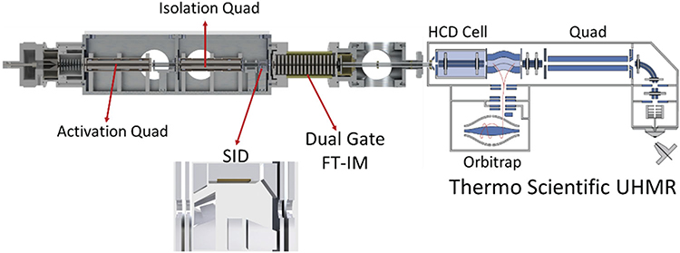 FIGURE 22.