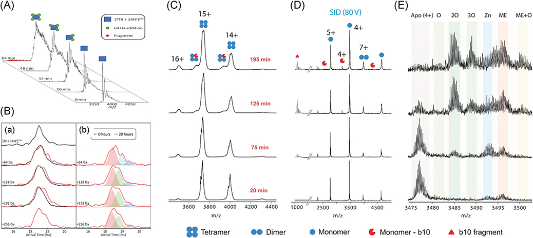 FIGURE 19.