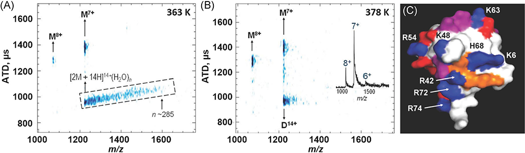 FIGURE 12.