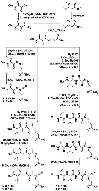 Scheme 1