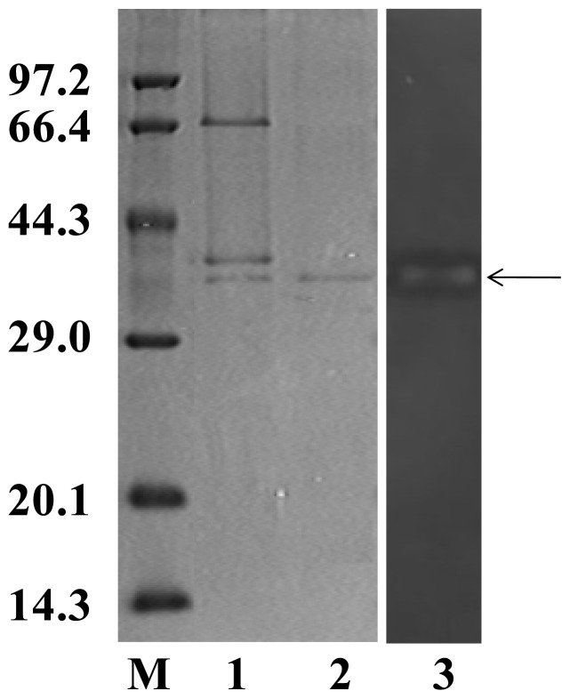 Figure 3.