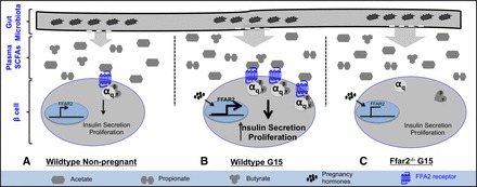 Fig. 8.