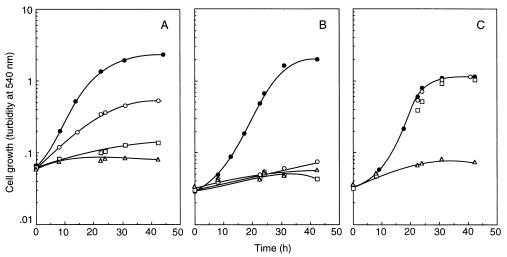 FIG. 1