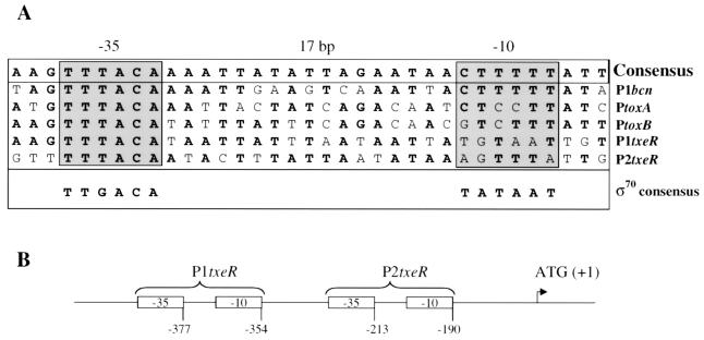 FIG. 7.