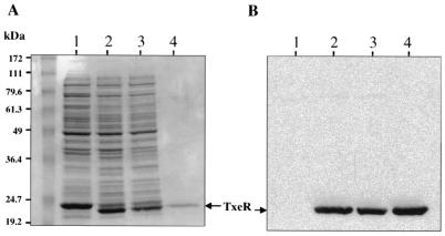 FIG. 5.