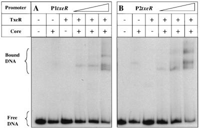 FIG. 8.