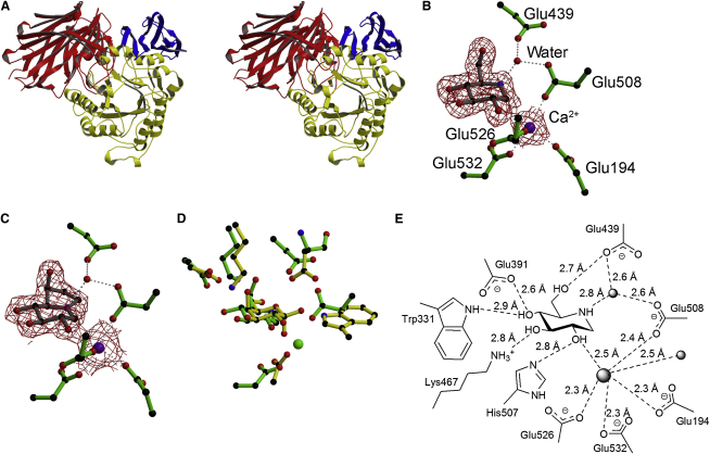 Figure 2