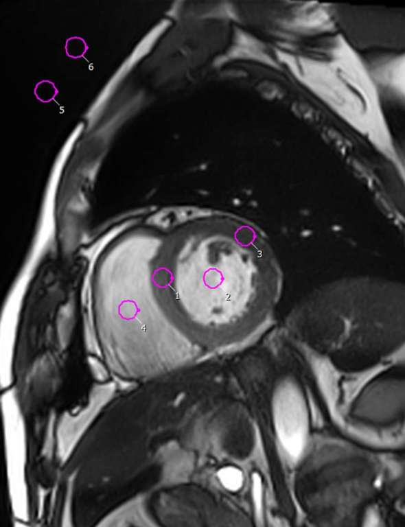 Figure 6.