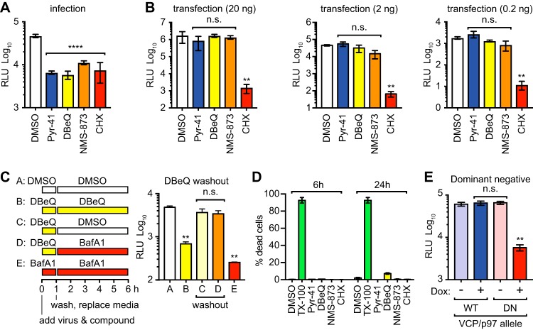 FIG 3