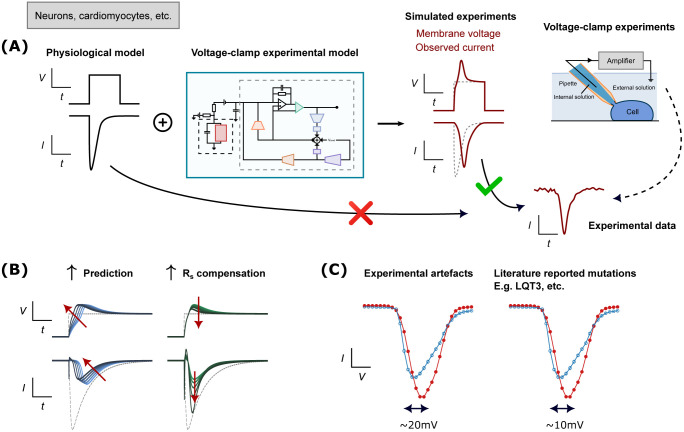 Figure 1: