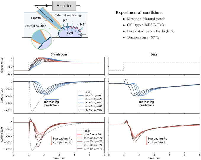 Figure 4: