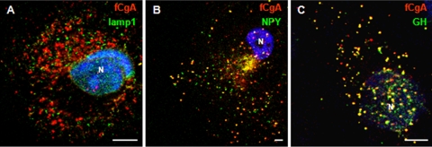 FIGURE 3.