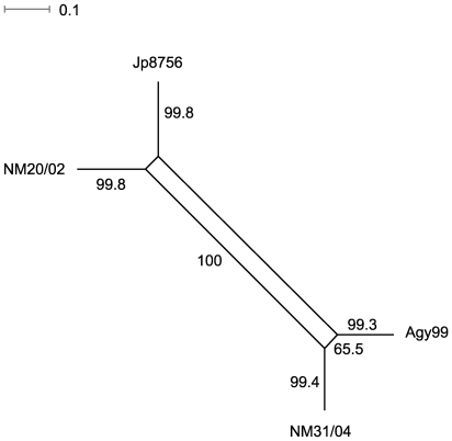 Figure 5