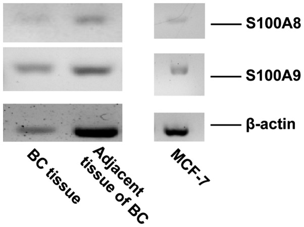 Figure 2.