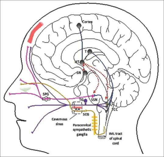 gabapentin for cluster headaches