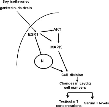 Fig. 11.