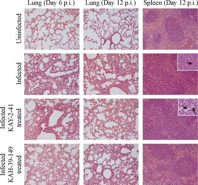 FIG 6