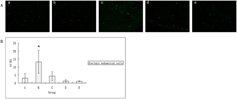 Fig 8