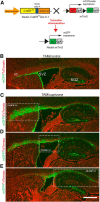 Figure 10.