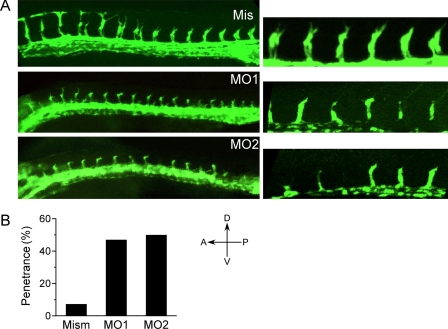 FIGURE 6.