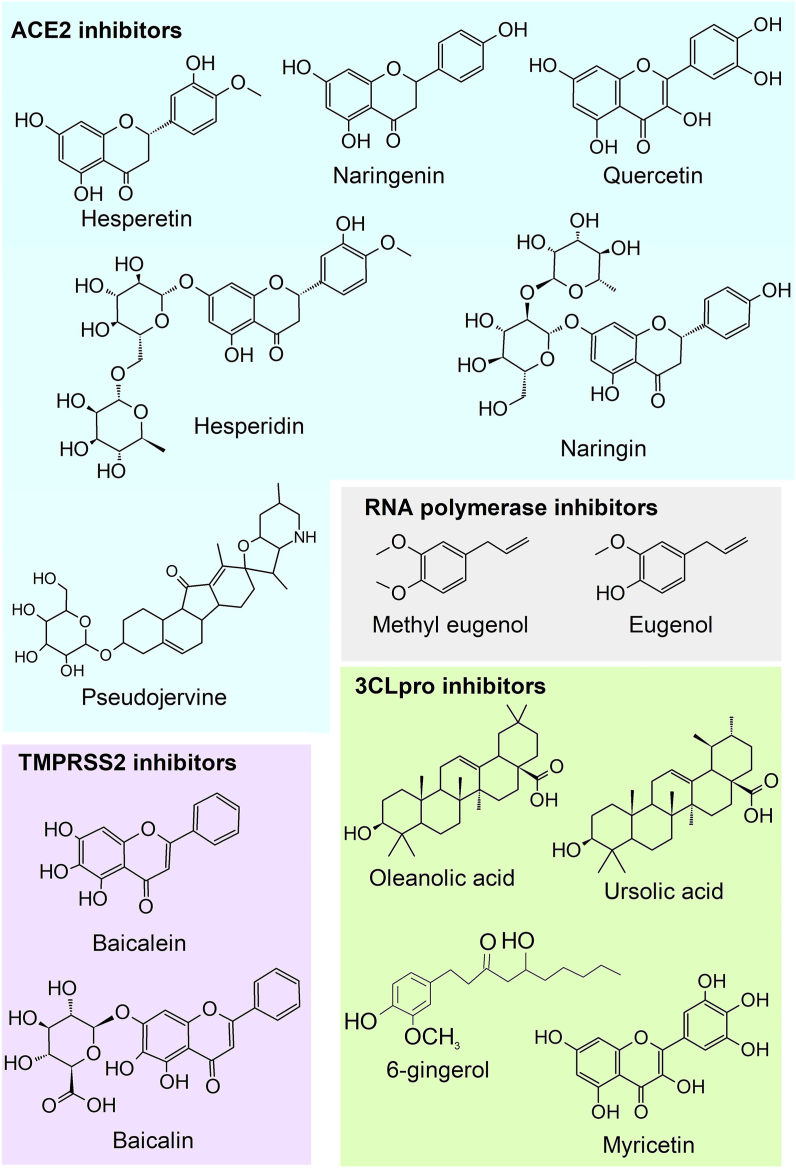 Figure 2