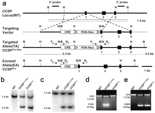 FIG. 1