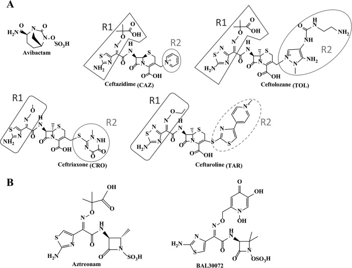 FIG 3 