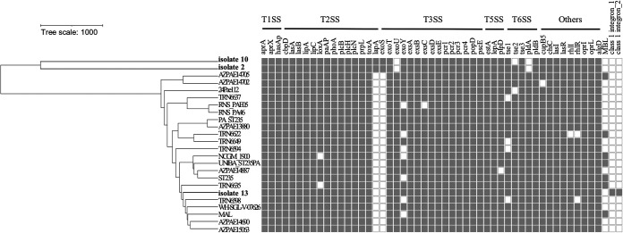 FIG 1