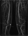Fig 1