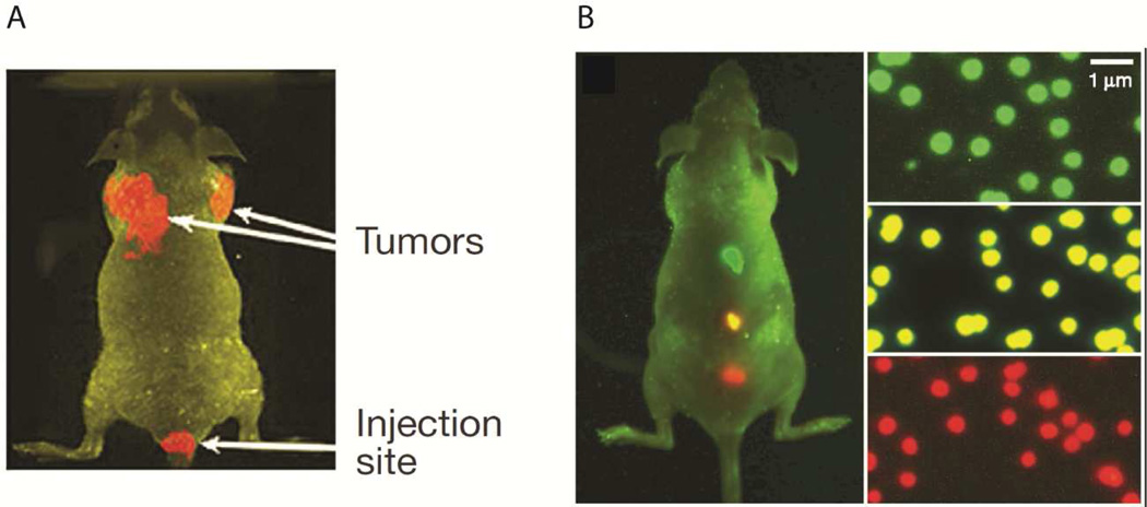 Fig. 8