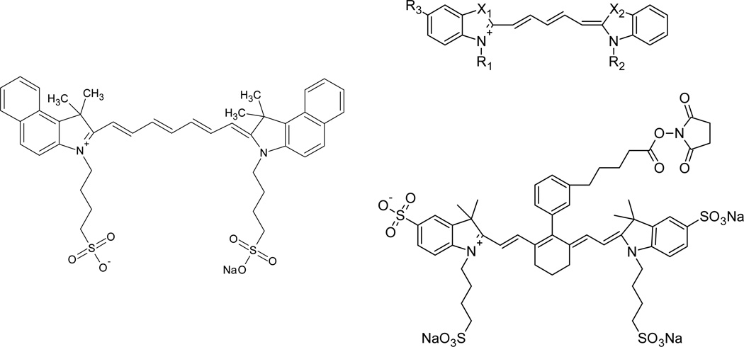 Fig. 10