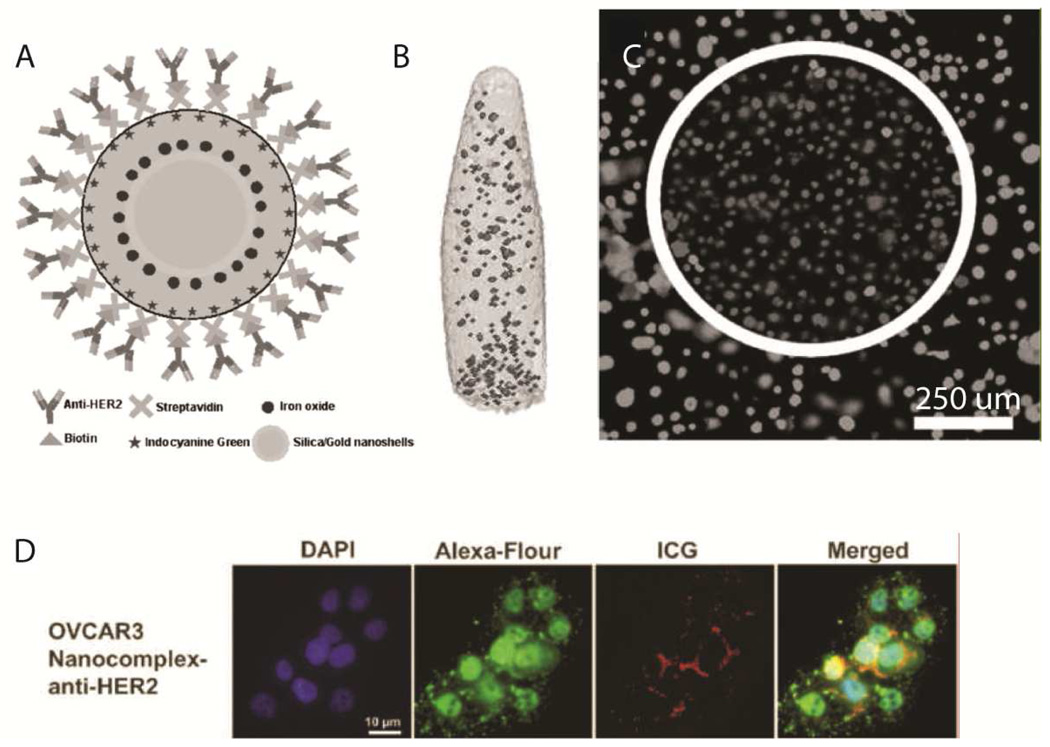 Fig. 18