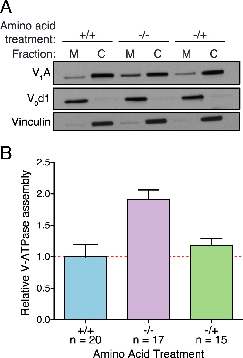 FIGURE 1.