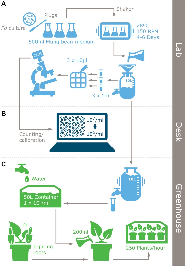 FIGURE 2