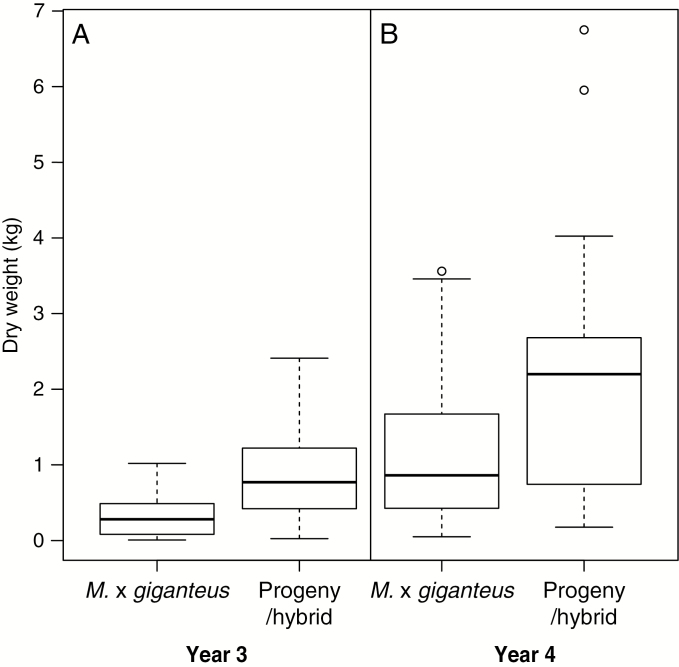 Fig. 10.