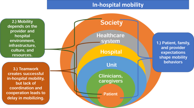 graphic file with name nihms-1639964-f0001.jpg