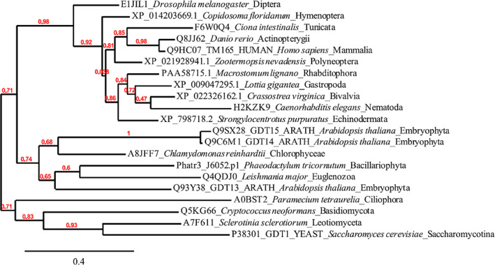 Fig. 4