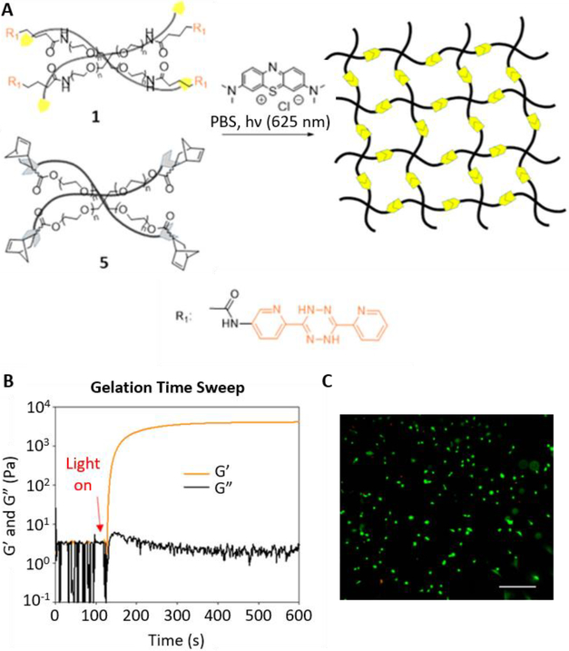 Figure 6.