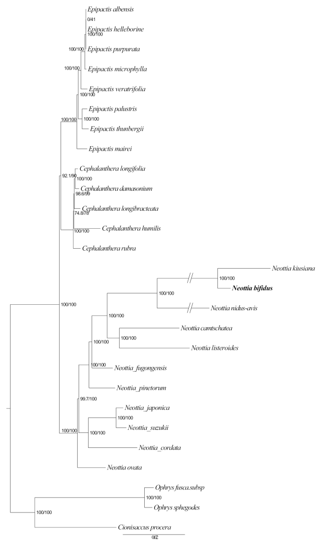 Figure 2.