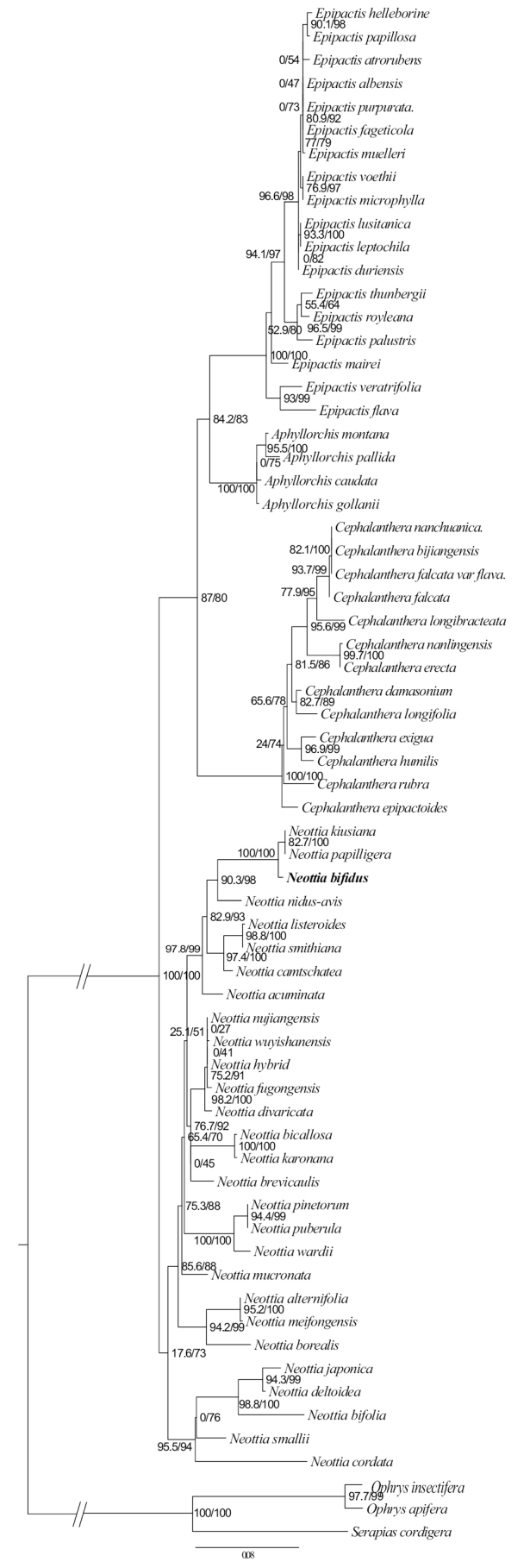 Figure 3.