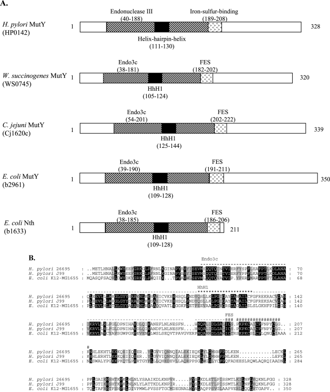 FIG.1.