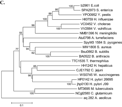 FIG.1.