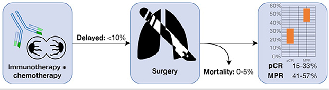 graphic file with name nihms-1696403-f0001.jpg