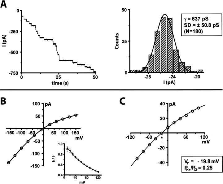 Fig. 5.