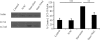 Figure 9.