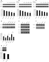 Figure 2.