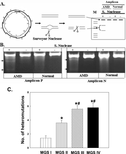 Figure 6.