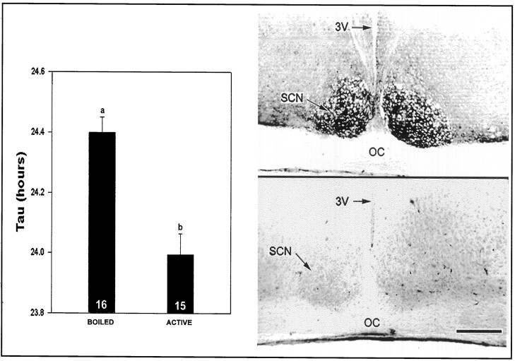 Fig. 9.