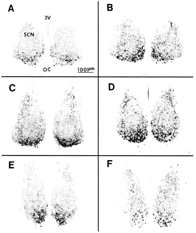 Fig. 13.