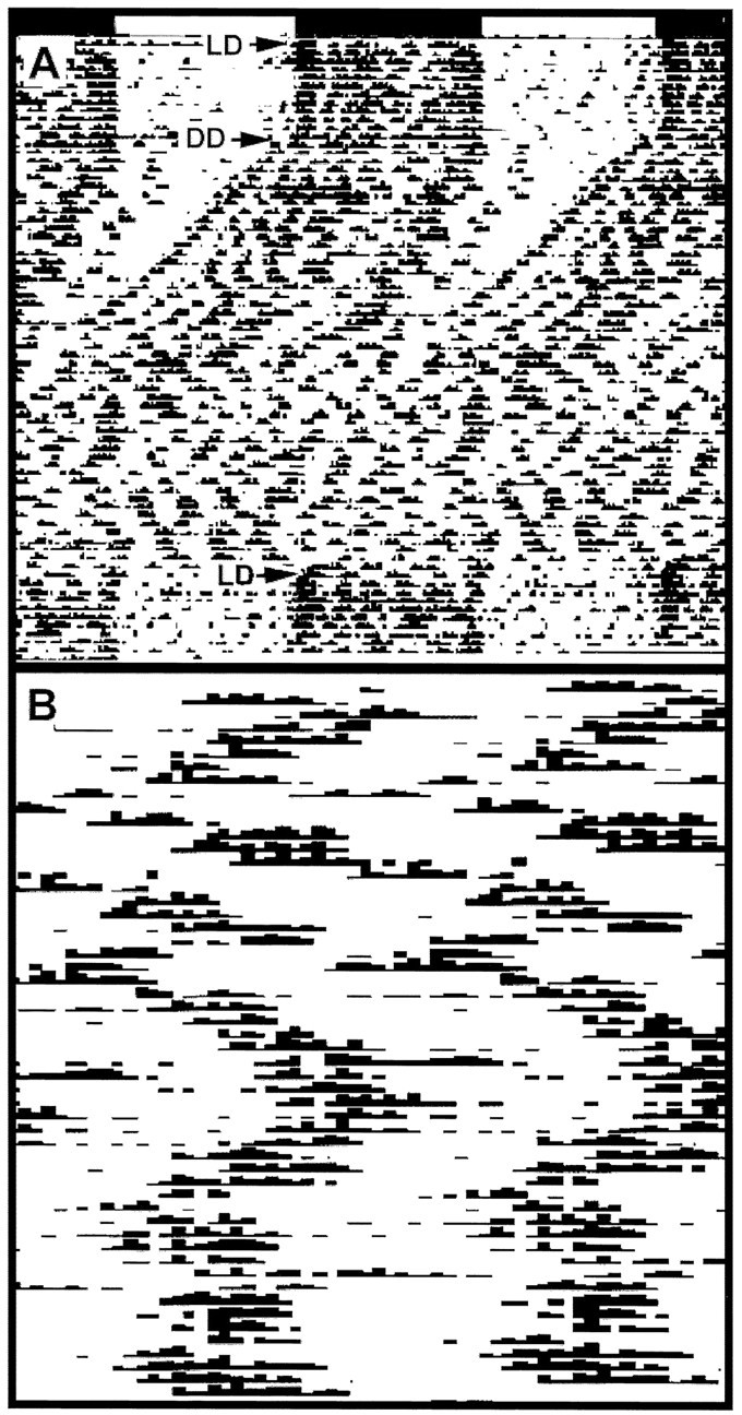 Fig. 8.